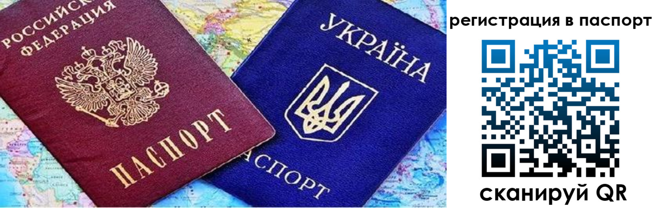 прописка гарантия в Светлом