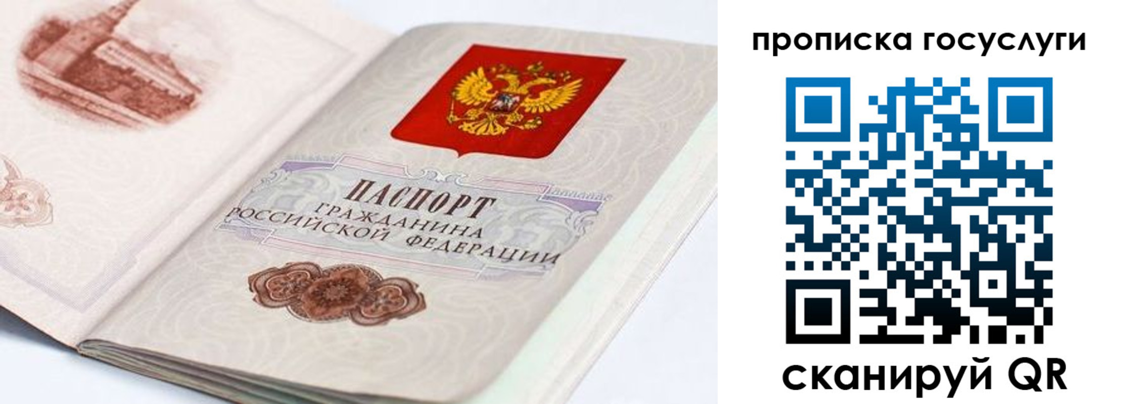 прописка регистрация в Светлом